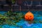 Plastic Halloween jack o lantern with spooky smile on water