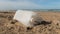 Plastic liquid container discarded on a sandy beach