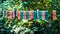 Plastic and Metal Clothespins on Clothes Line on Blurred Green Leaves Background on a Sunny Summer Day