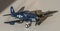 Plastic model kit Hellcat 2ww fighter plane assembled