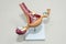Plastic model of woman reproductive system. Anatomical model of uterus with ovaries. The concept of female reproductive system.