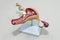 Plastic model of woman reproductive system. Anatomical model of uterus with ovaries. The concept of female reproductive system.