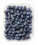 Plastic packaging of fresh juicy blueberries. White isolated background.