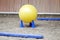 Plastic physioball on the sand during training for beginner riders and horses at riding school indoors
