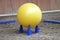 Plastic physioball on the sand during training for beginner riders and horses at riding school indoors