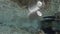 Plastic pollution, white plastic cup swims reflecting from a surface in a coastal area on a pebble beach. Underwater shots.