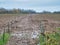 Plastic posts and tape mark the well trodden route of the Sandstone Trail across a waterlogged, very muddy, rural field