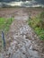 Plastic posts and tape mark the well trodden route of the Sandstone Trail across a waterlogged, very muddy, rural field