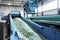 Plastic recycling plant. Conveyor with shredded plastic