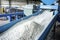 Plastic recycling plant. Conveyor with shredded plastic