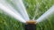 Plastic sprinkler irrigating grass lawn with water in summer garden. Watering green vegetation duging dry season for