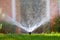 Plastic sprinkler irrigating grass lawn with water in summer garden. Watering green vegetation duging dry season for maintaining