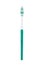 Plastic toothbrush with turquoise trim