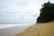 Plastic trash all over the beach with heavy wave and pine tree b