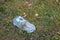 Plastic trash in the forest. Tucked nature. Plastic container lying in the grass.