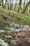 Plastic trash in the forest. Tucked nature. Plastic container lying in the grass