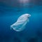 Plastic trash pollutes ocean