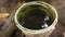 A plastic tub with mosquito nest egg on fresh water cause malaria