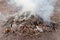 Plastic waste and rubbish open burning