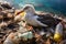 Plastic waste washed ashore on the beach, devastating consequences of pollution on our planet, and struggling seagull birds on the