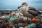 Plastic waste washed ashore on the beach, devastating consequences of pollution on our planet, and struggling seagull birds on the