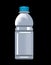 Plastic water bottle