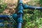 plastic water pipe for drip irrigation or water supply system for organic vegetable garden. A local farm.