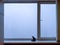 A plastic window, behind which only white fog is visible. There is a black steppler on the window sill