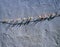 Plastic and wooden pegs on a rope washing line with a textured wall behind