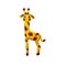 Plasticine baby giraffe sculpture isolated on white