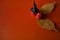 Plasticine pumpkins and a witch`s magic hat on autumn leaves on an orange background-Halloween symbols