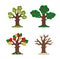 Plasticine tree four seasons isolated on a white background