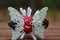 A plasticine virus figurine holds a broken butterfly in its hands