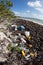 Plastics Washed onto Caribbean Beach