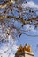 Platanus tree and Quadriga of Aurora