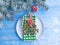 Plate, Christmas tree branch banquet decorative on a wooden background, frame