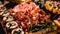 Plate of cold cuts, Meat Plate with Italian ham and turkey breast, with figs and garnished with mint leaves, point focus