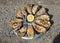 Plate with dozen oysters and a lemon on the parapet of the embankment, Cancale,