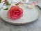 Plate flower rose a wooden background, dining restaurant
