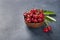 Plate with fresh cherries with green leaves. Black background.