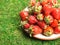 Plate with fresh large strawberries on green grass