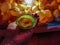 Plate in hand containing panipuri fuchka golgappa. Indian snack chaat spicy food