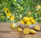 Plate with lemons on wooden table over fruit tree background