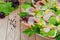 Plate with sandwiches with sausage, cucumbers and greens on a wooden background