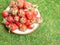 Plate with strawberries on green grass