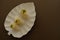 Plate with traditional Japanese onigiri with egg on brown background and beautiful white plate with leaf shape