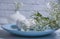 Plate, white celebration  menu  serving   romantic   gypsophila flower season decorationspring