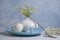 Plate, white egg gypsophila fresh  festive  decoration celebration