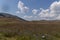 The plateau of Castelluccio in UMBRIA, Italy