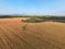 Plateau de Valensole lavender field and Wheat field and almond tree at sunset in Haute Alpes Provence Cote d'Azur